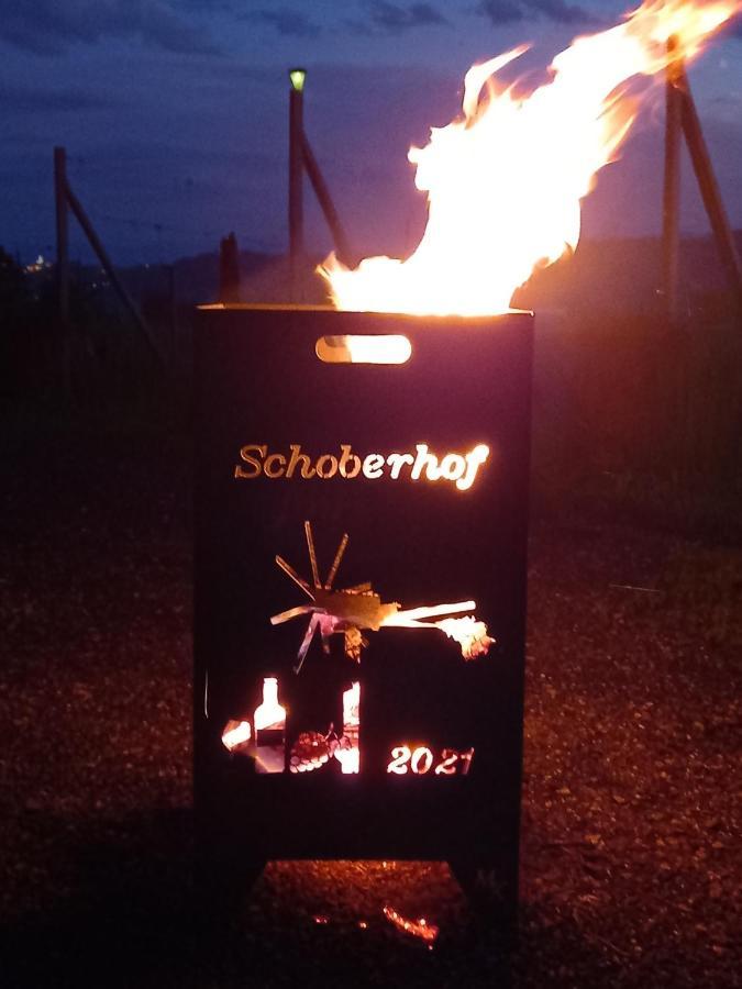 Appartement Weingut Schoberhof Bad Gleichenberg Dış mekan fotoğraf