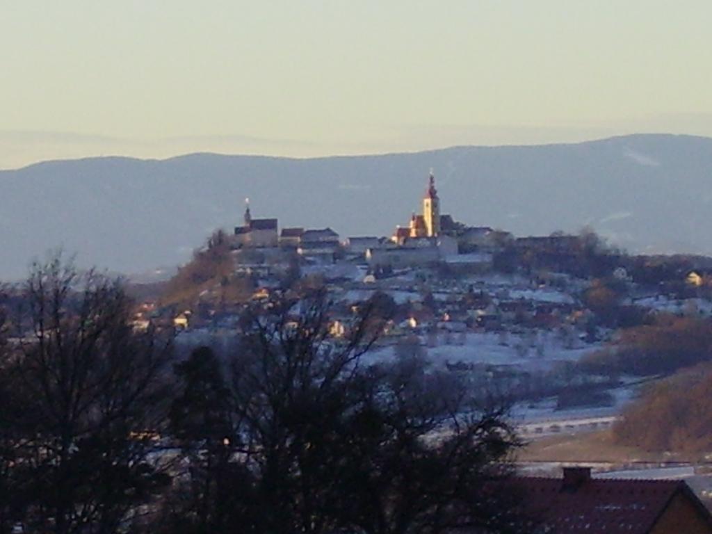 Appartement Weingut Schoberhof Bad Gleichenberg Oda fotoğraf