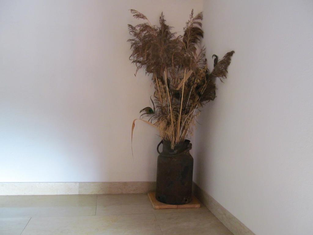 Appartement Weingut Schoberhof Bad Gleichenberg Oda fotoğraf