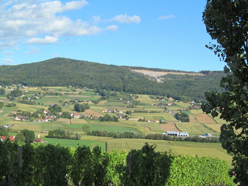 Appartement Weingut Schoberhof Bad Gleichenberg Oda fotoğraf