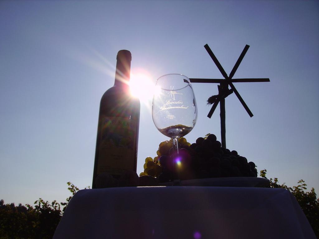 Appartement Weingut Schoberhof Bad Gleichenberg Oda fotoğraf