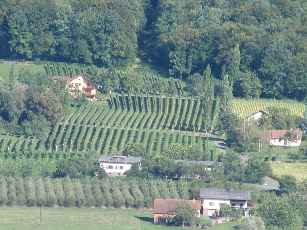 Appartement Weingut Schoberhof Bad Gleichenberg Oda fotoğraf