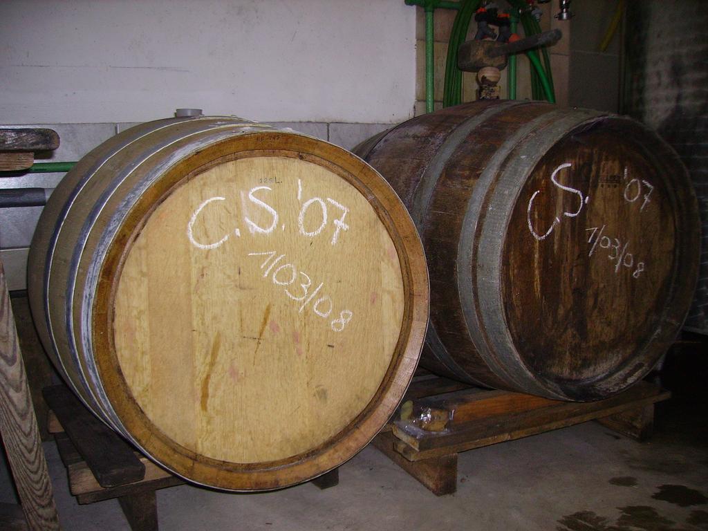 Appartement Weingut Schoberhof Bad Gleichenberg Oda fotoğraf