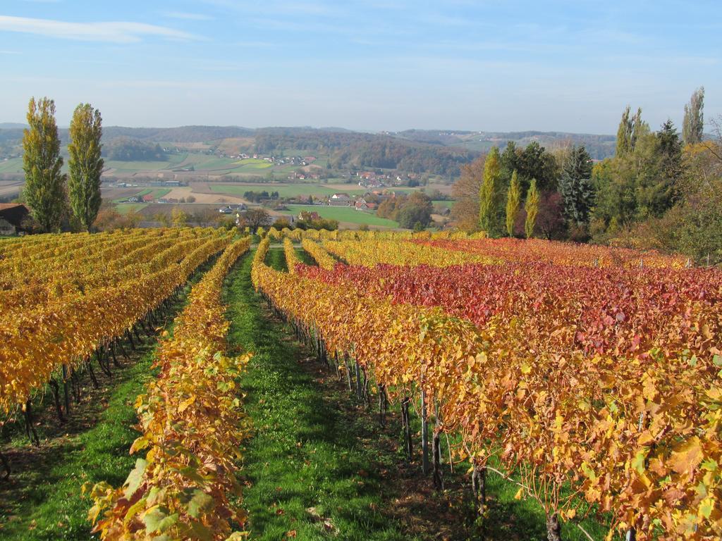 Appartement Weingut Schoberhof Bad Gleichenberg Oda fotoğraf