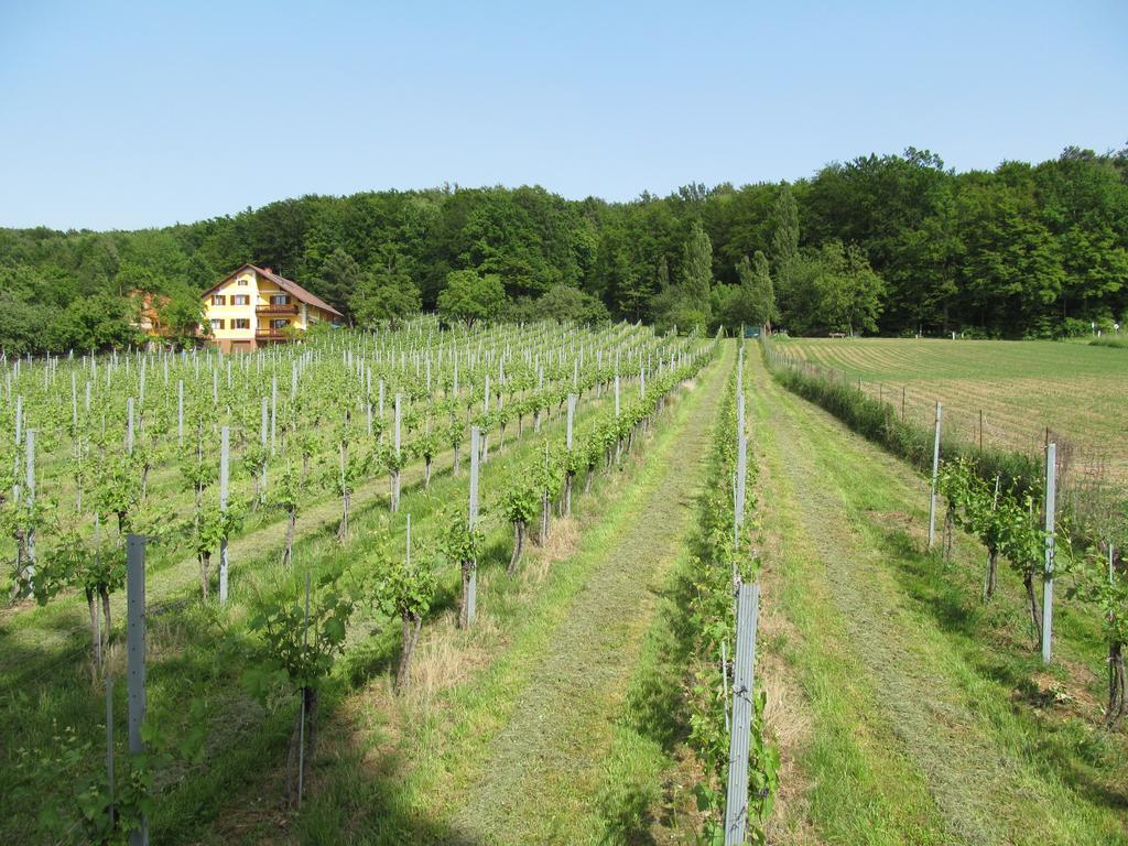 Appartement Weingut Schoberhof Bad Gleichenberg Oda fotoğraf