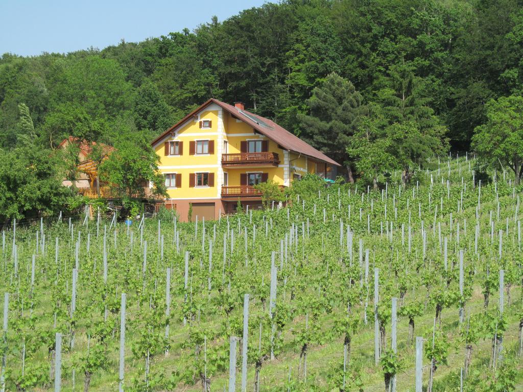 Appartement Weingut Schoberhof Bad Gleichenberg Oda fotoğraf