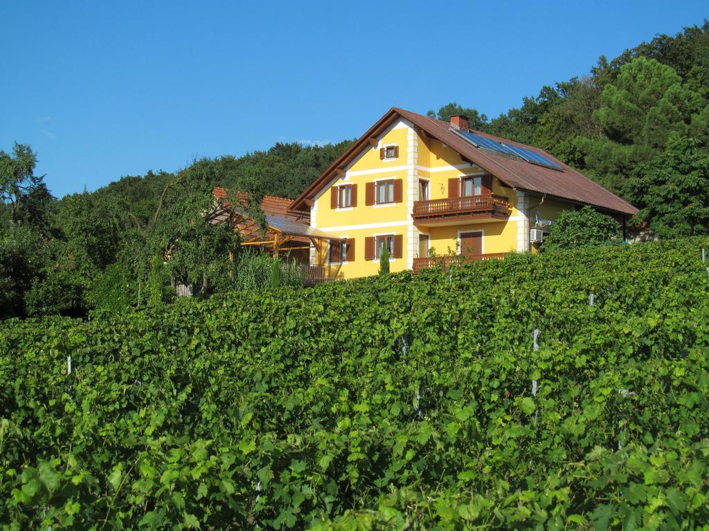 Appartement Weingut Schoberhof Bad Gleichenberg Dış mekan fotoğraf