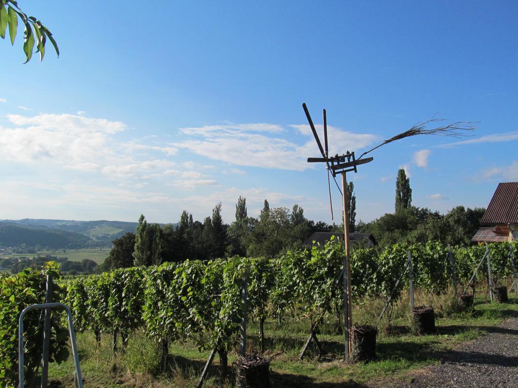 Appartement Weingut Schoberhof Bad Gleichenberg Dış mekan fotoğraf