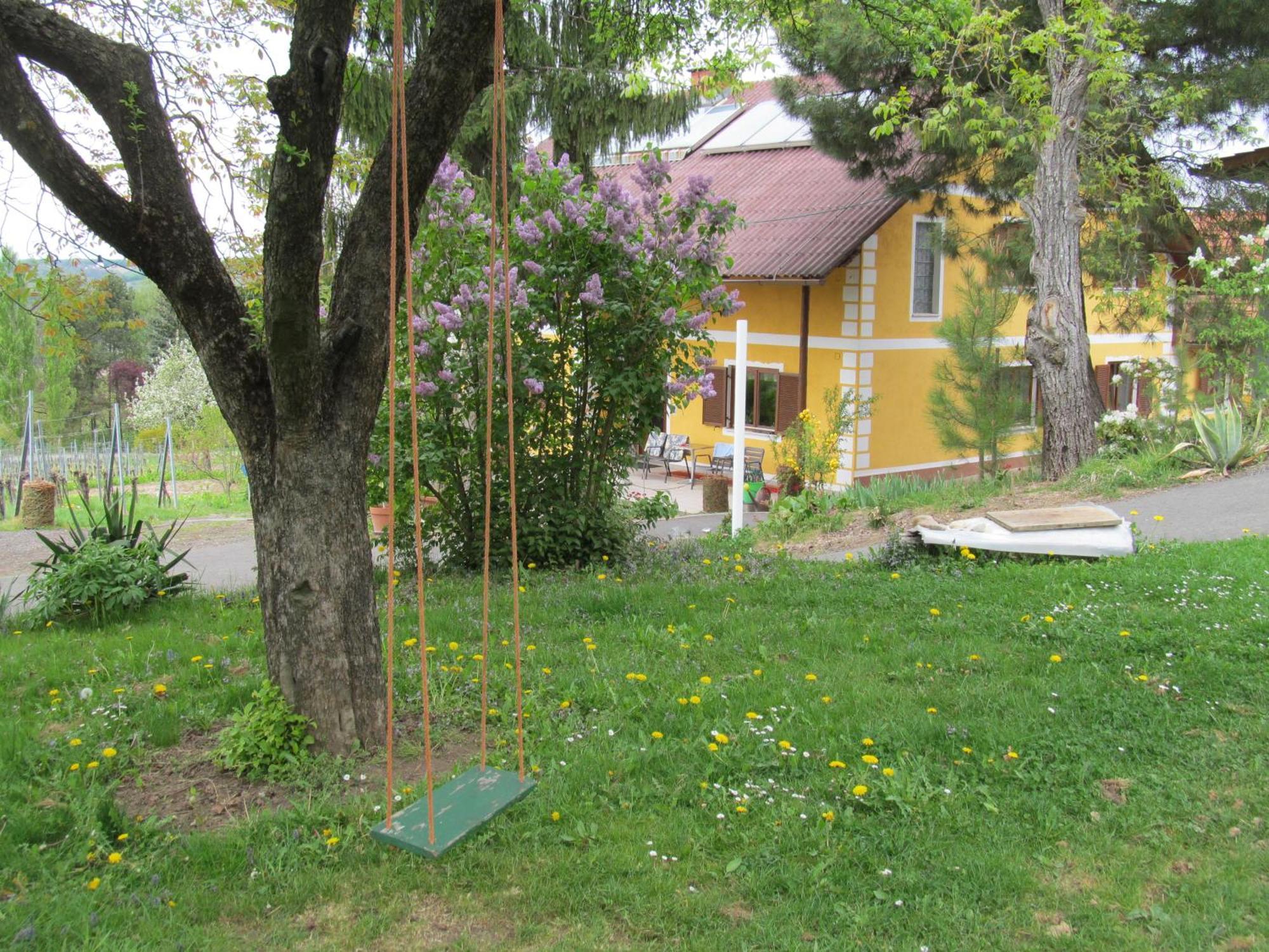 Appartement Weingut Schoberhof Bad Gleichenberg Dış mekan fotoğraf