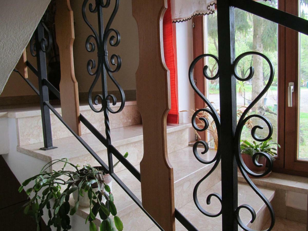 Appartement Weingut Schoberhof Bad Gleichenberg Dış mekan fotoğraf